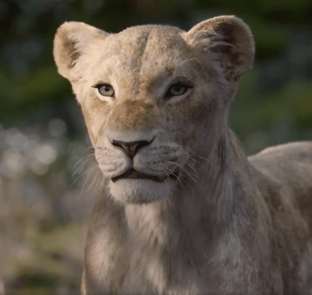 Beyoncé as Nala in the New Live-Action 'The Lion King'