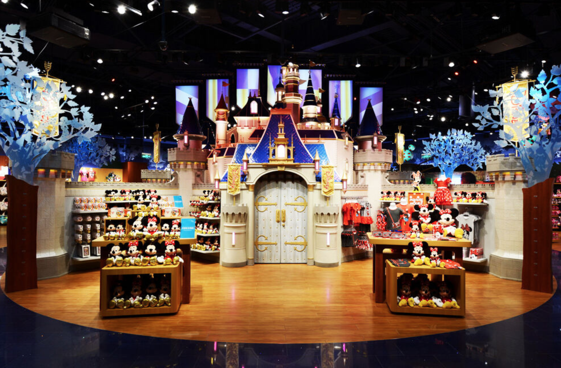 Disney Store [Source: WikiWand]