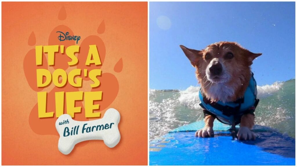 'It's a Dog's Life with Bill Farmer' Episodes 1-2 on Disney+ [Source: ABC7 San Francisco]