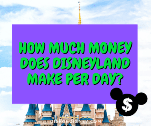 How Much Money Does Disneyland Make Per Day? Plus, What It Costs!