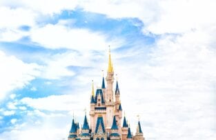 HOW MUCH MONEY DOES DISNEYLAND MAKE EACH DAY