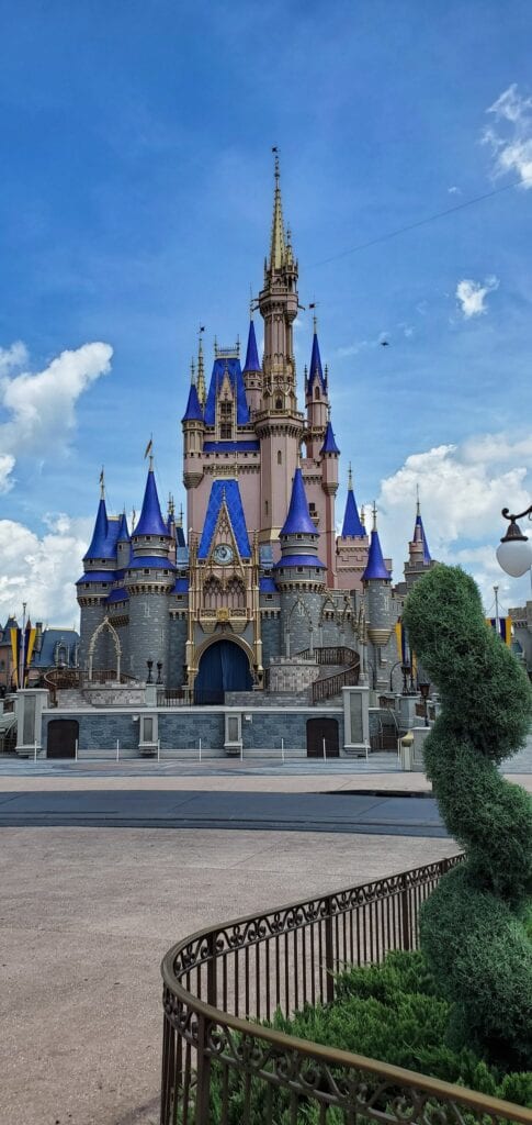 The New Disney World Castle Makeover Painting