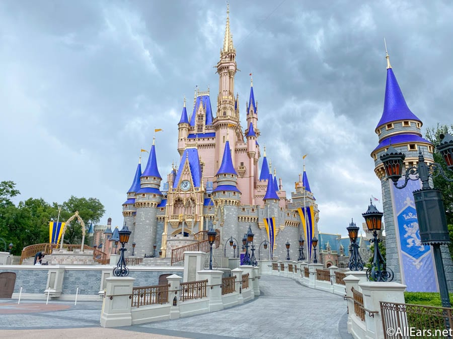 The New Disney World Castle Makeover Painting