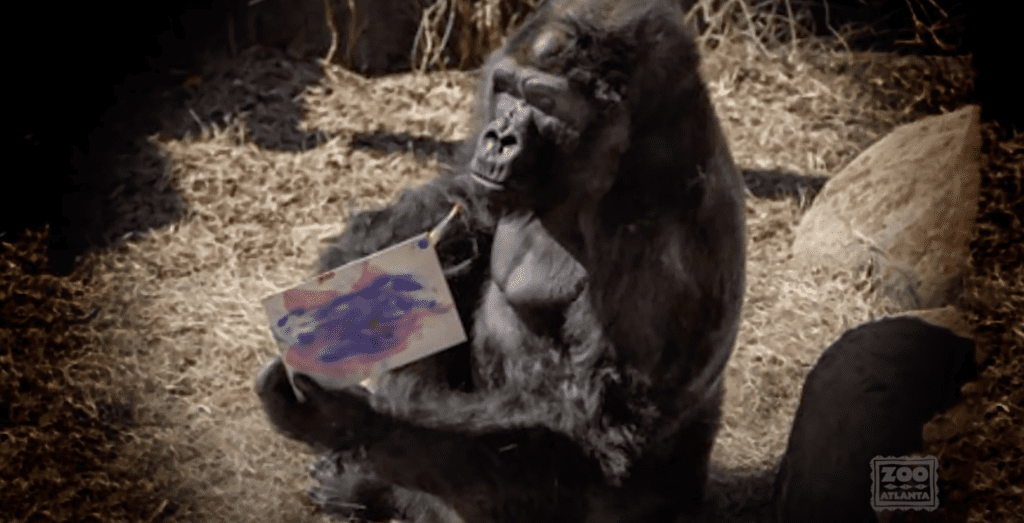 Ivan the Gorilla Paintings [Source: Zoo Atlanta via YouTube]