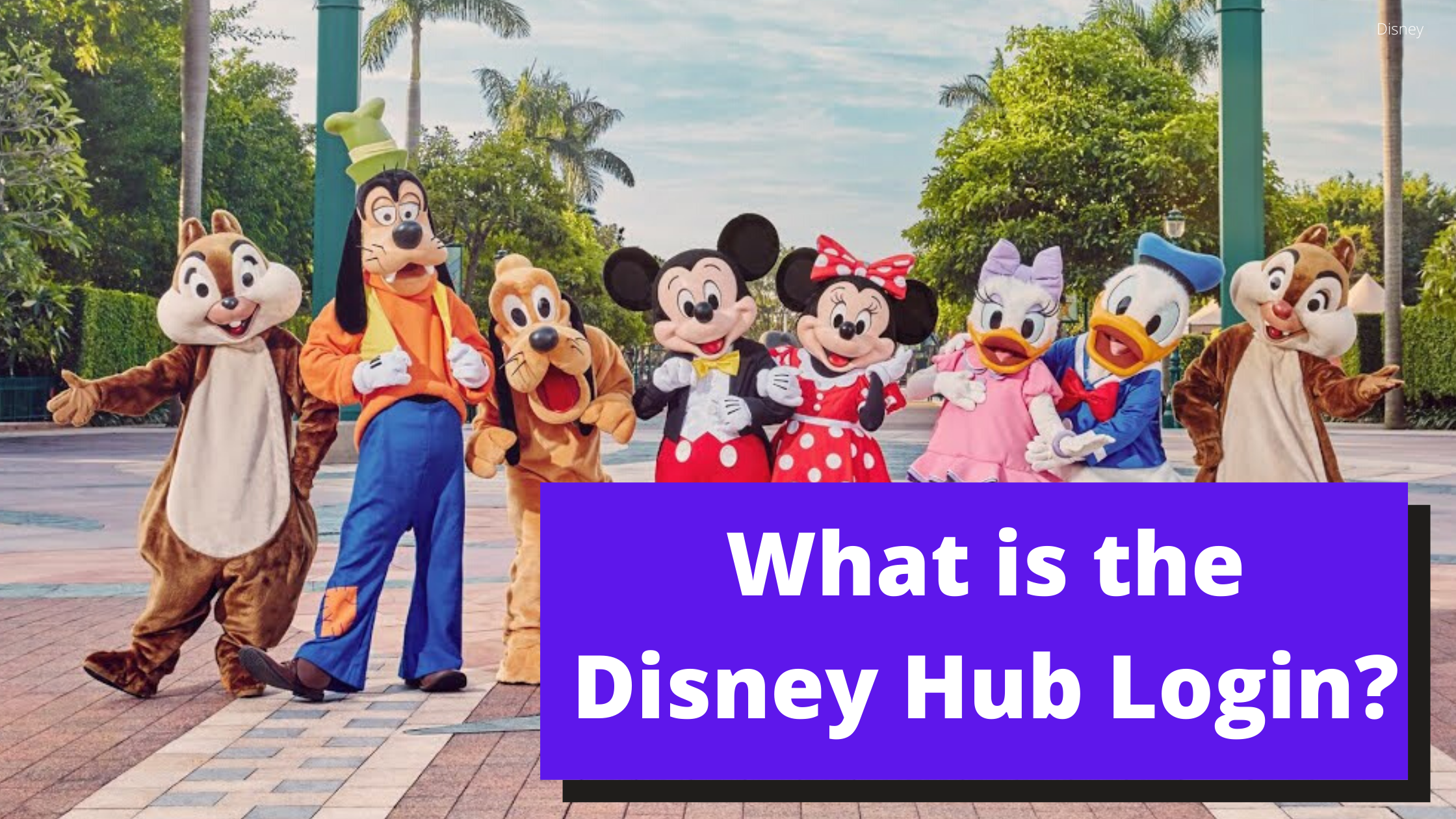 What Is the Disney Hub Login and Sign In Website Page?