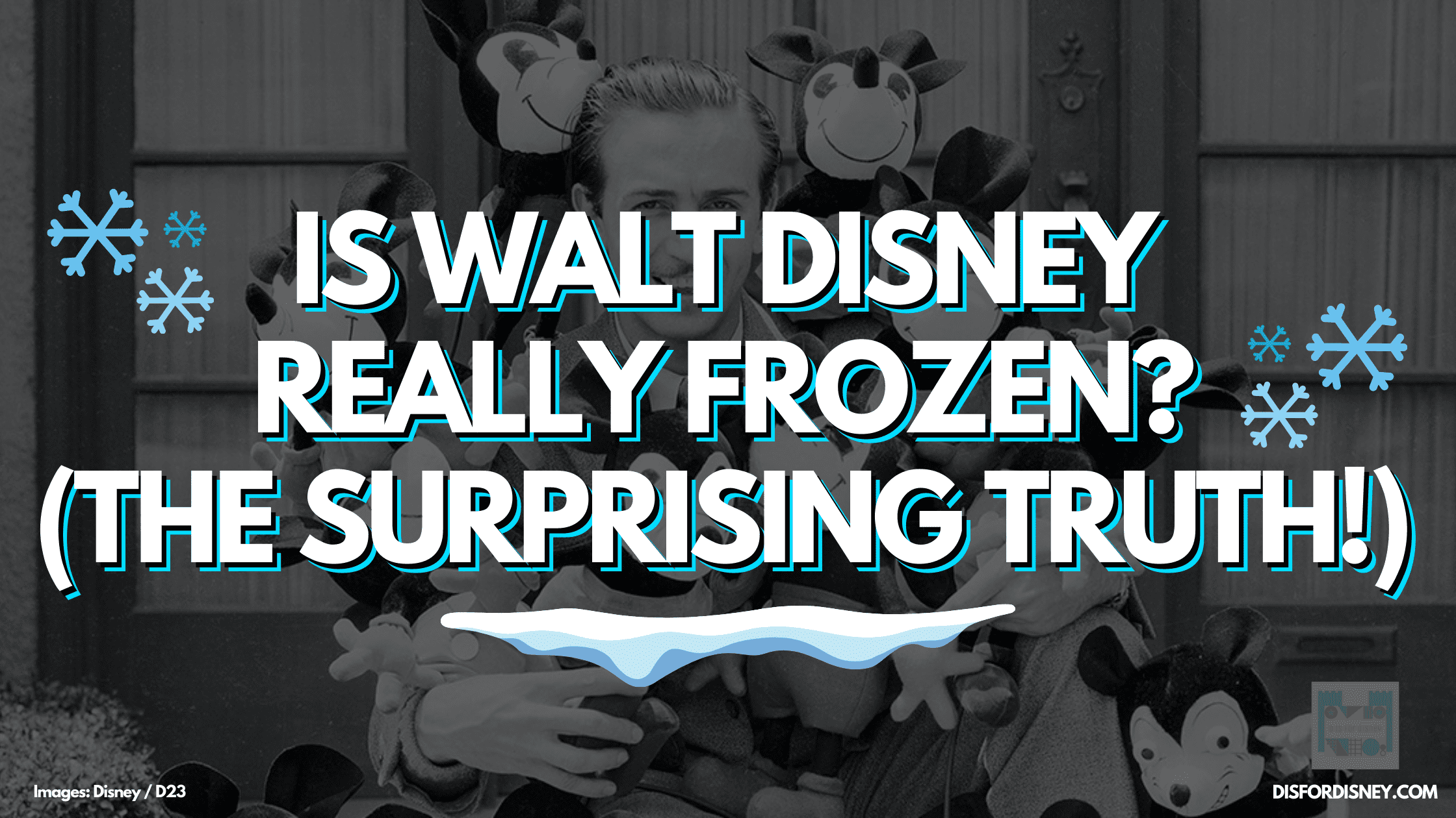 Is Walt Disney Frozen?