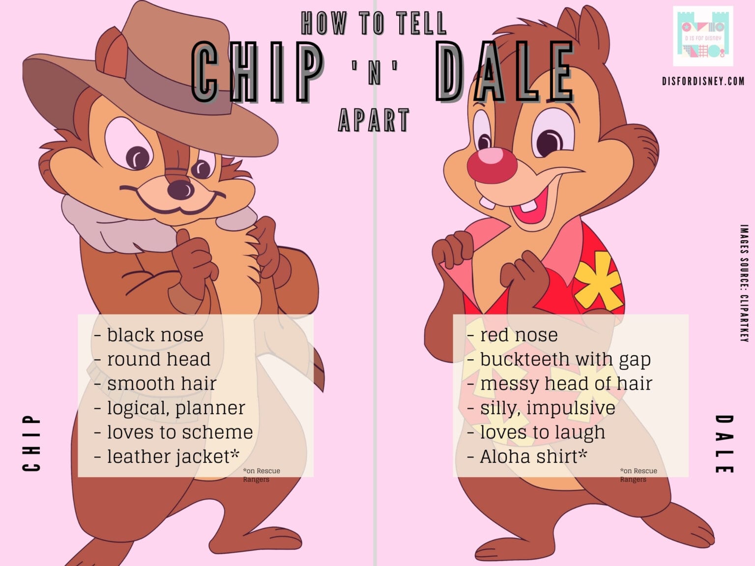 How Do You Tell the Difference Between Chip and Dale? Here's the Answer!