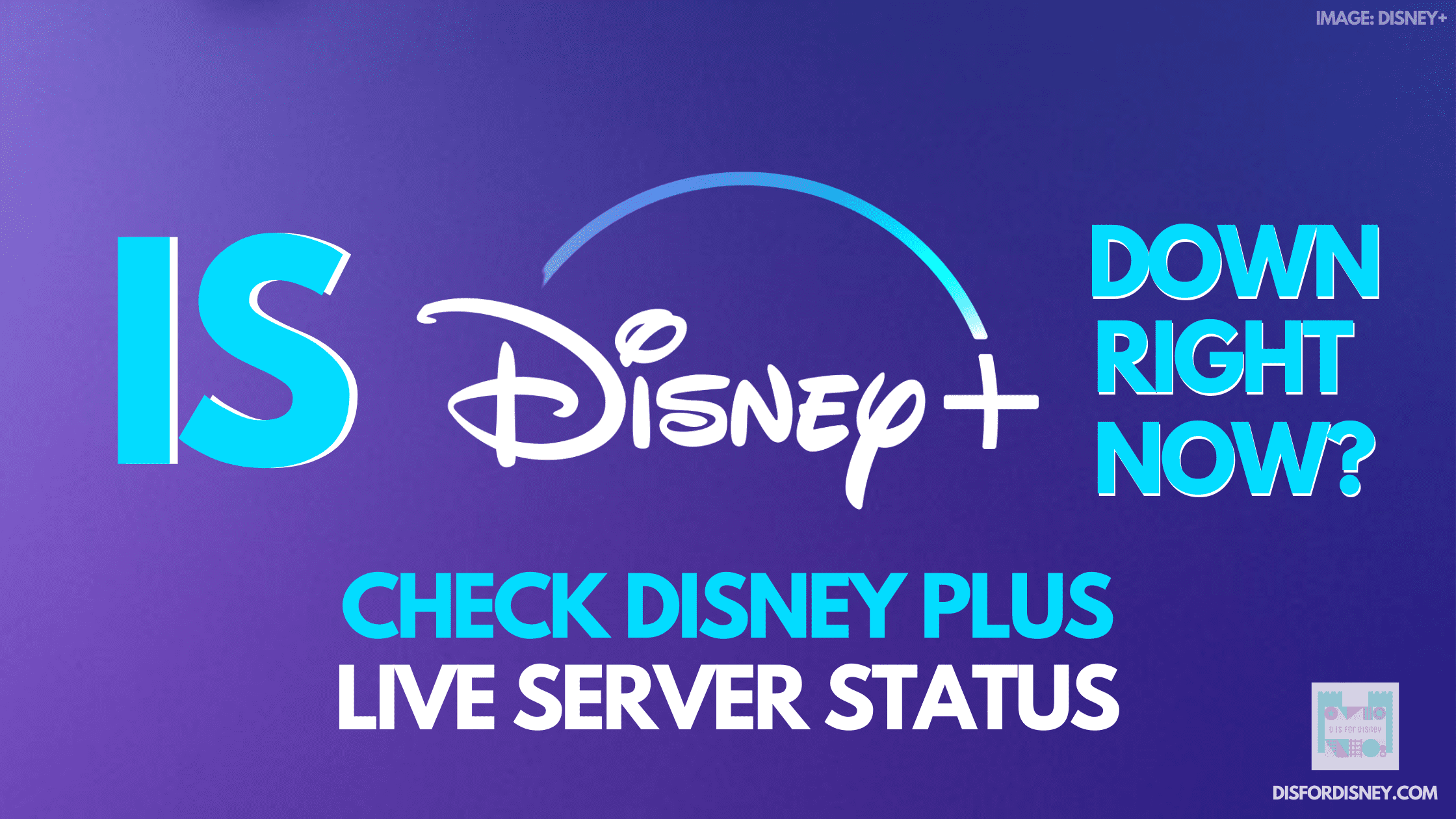 Is Disney Plus Down Right Now? Check Disney+ Server Status D Is For