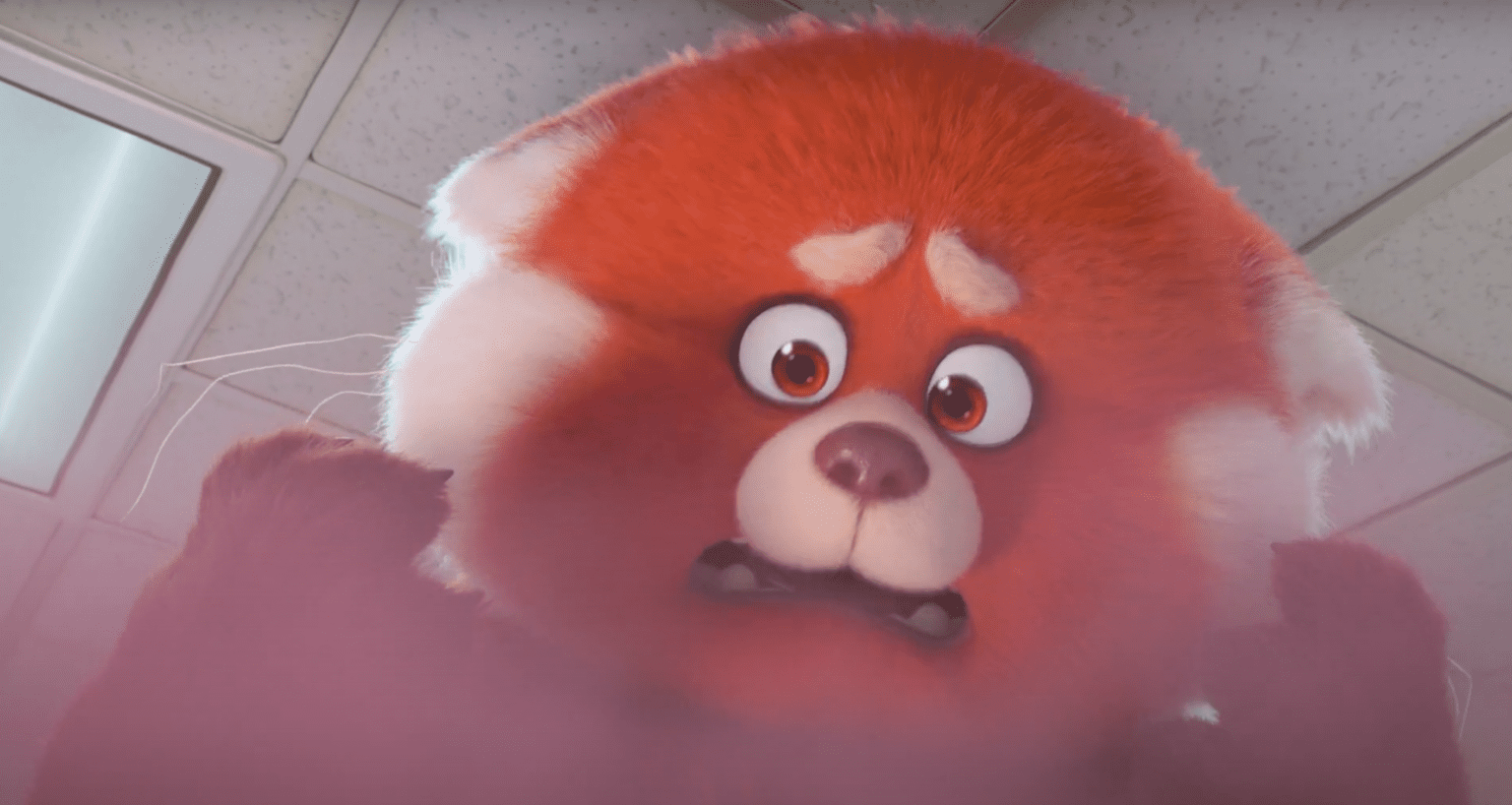 new disney movie red panda