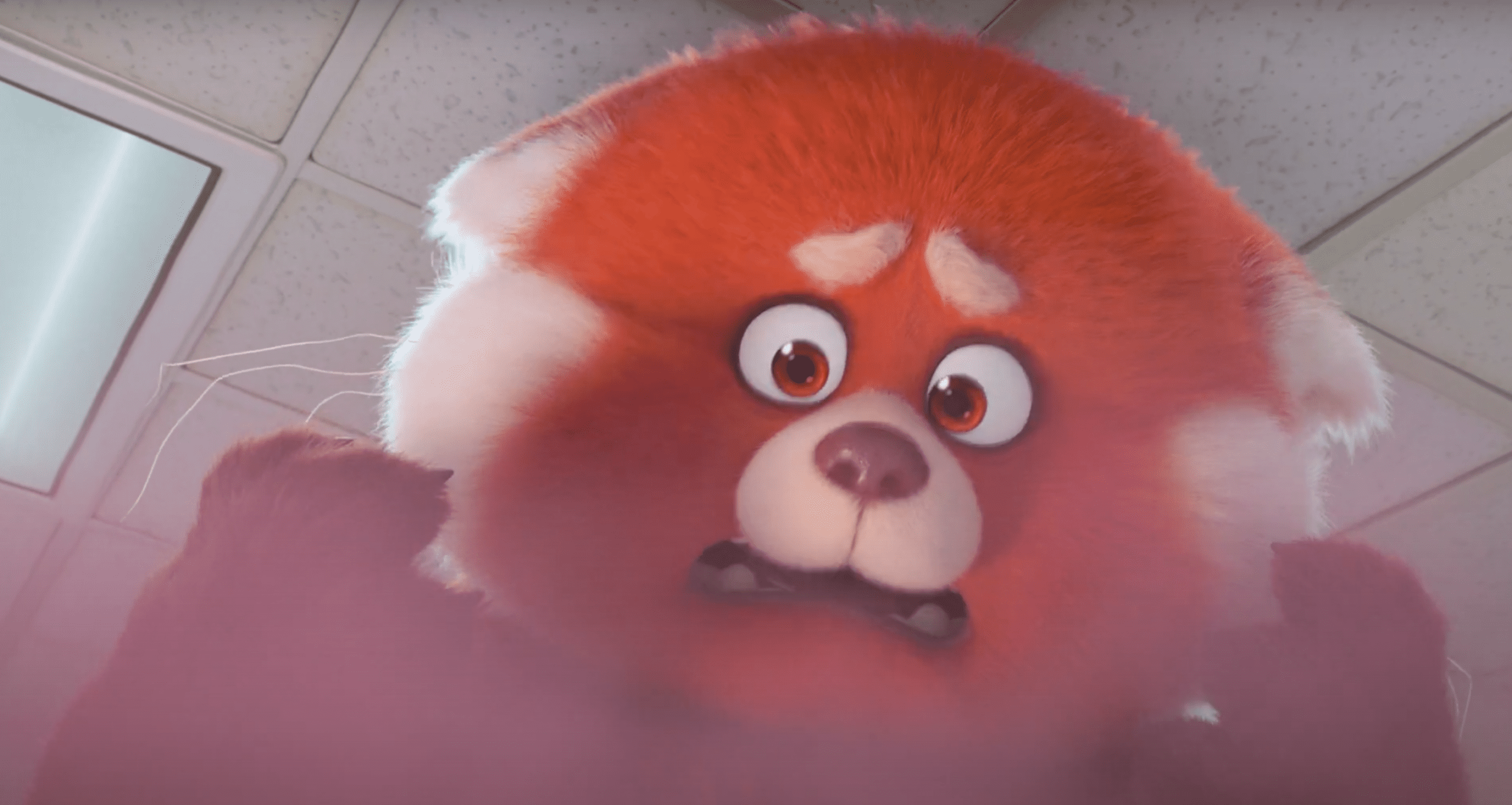 Pixar s Turning Red Panda Trailer Release Date Diabetes Character More