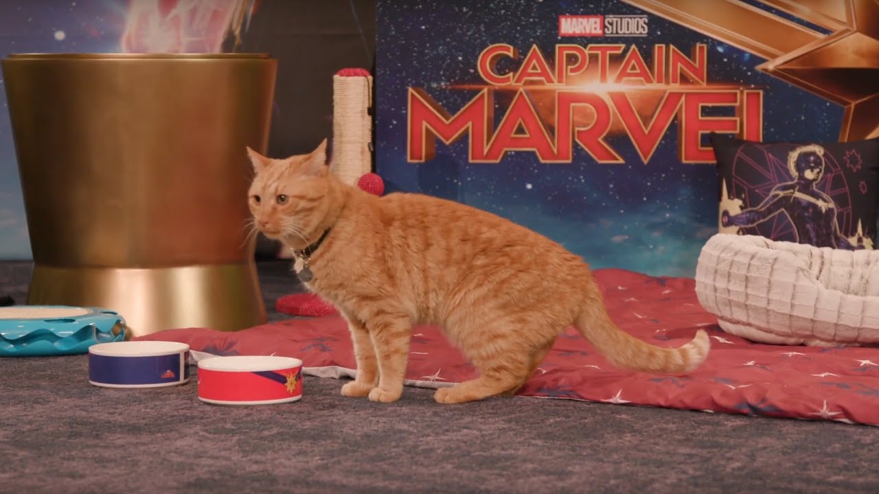 captain marvel goose toy